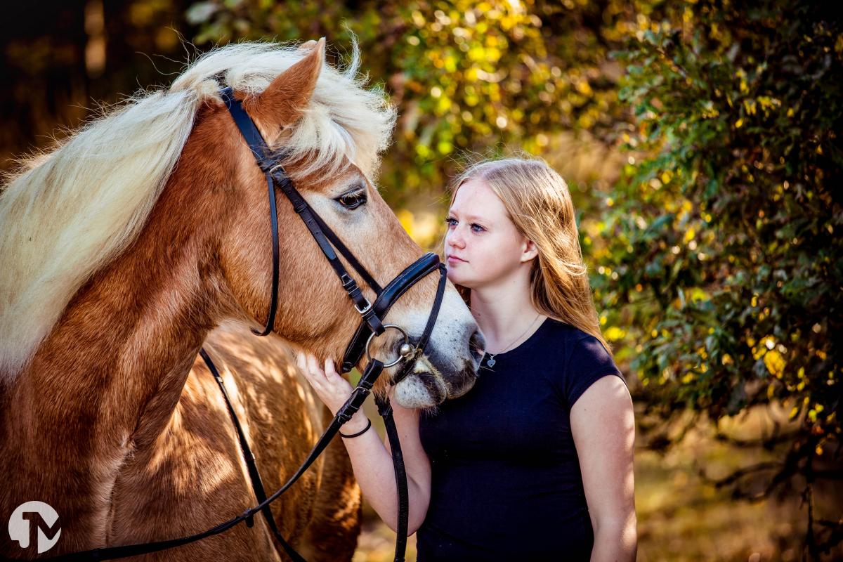 Dieren fotografie in de Loonse en Drunense duinen
