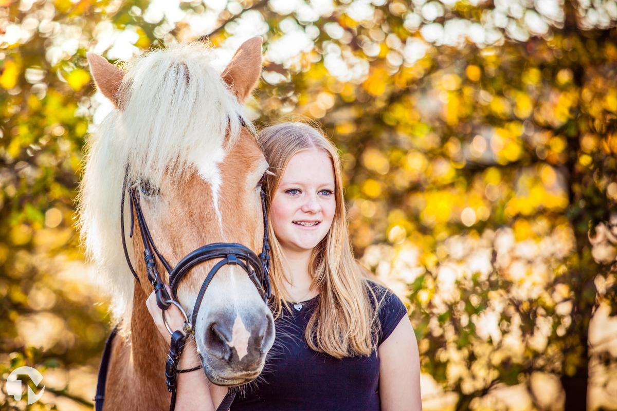 Dieren fotografie in de Loonse en Drunense duinen