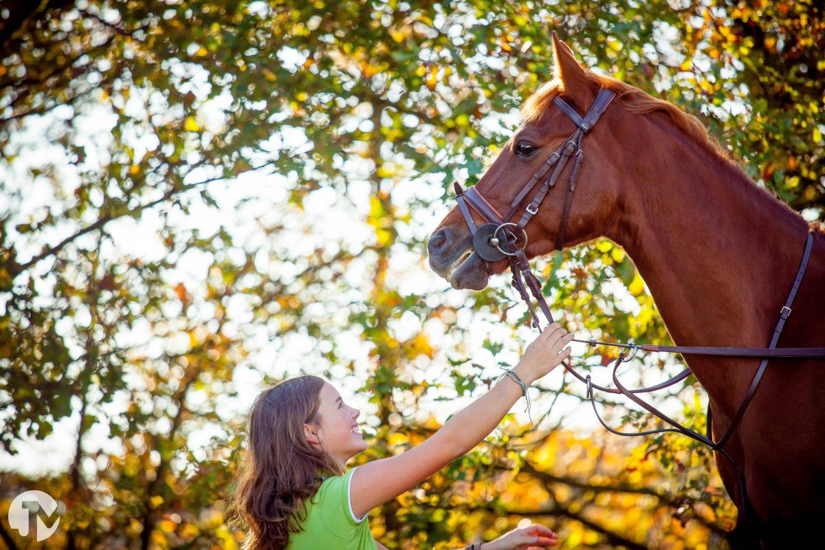 Dieren fotografie in de Loonse en Drunense duinen