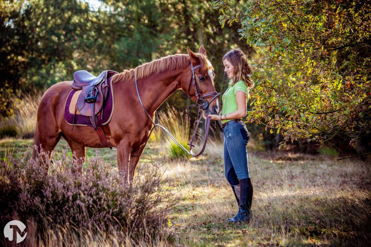 Dieren fotografie in de Loonse en Drunense duinen