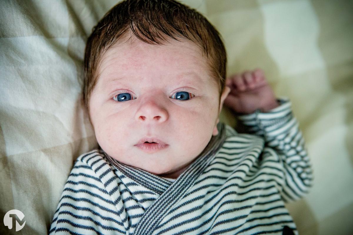 Baby van een paar weken kijkt wakker in de lens.