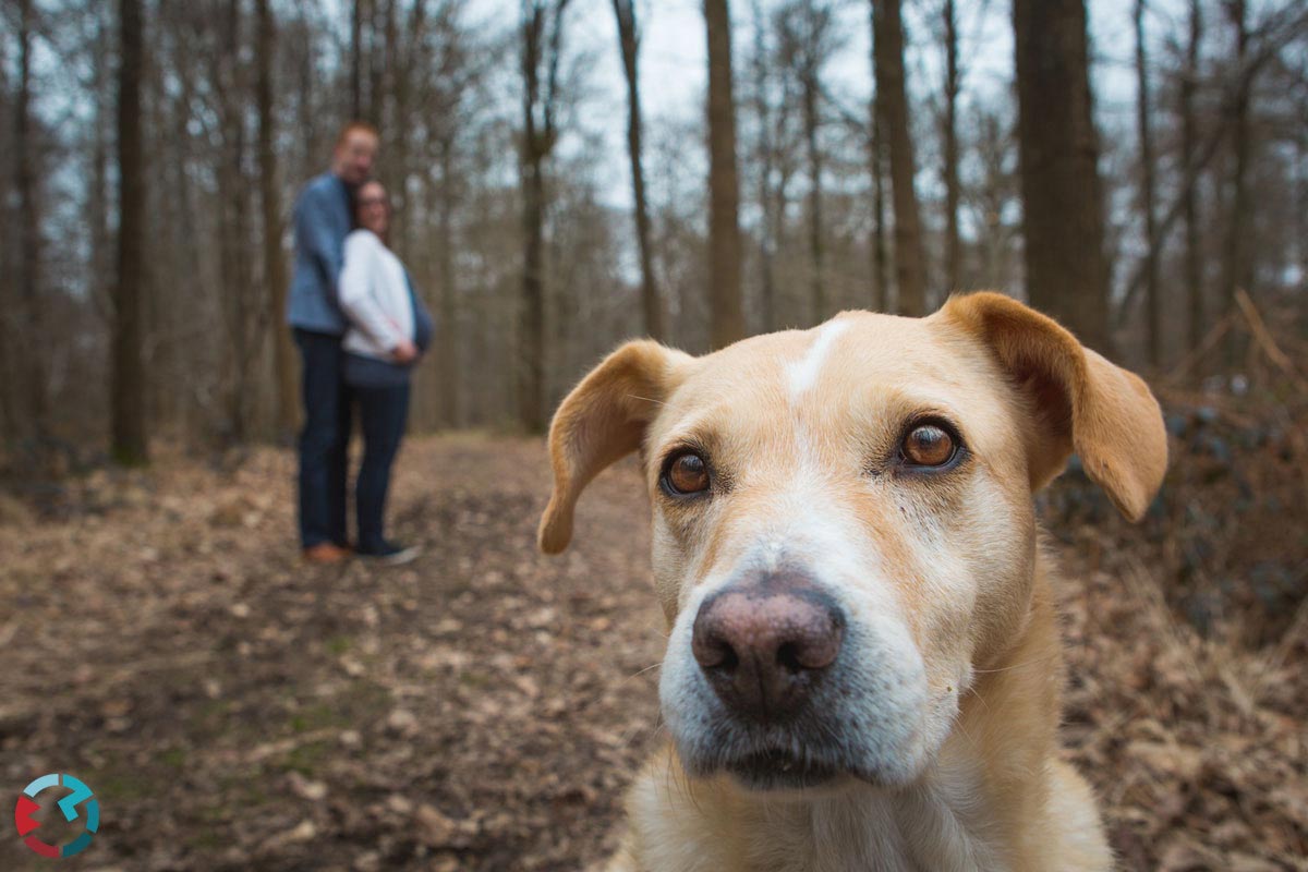 Zwangerschapsshoot in Breda | Liesbos