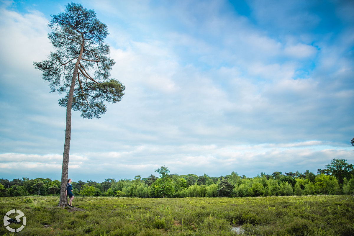 Zwangerschapsshoot | Strijbeekse heide