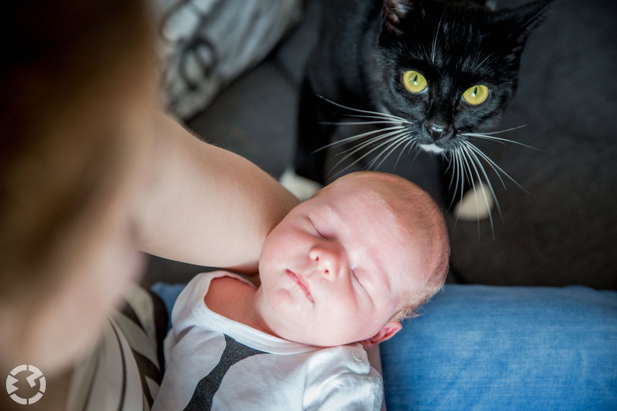 Newborn en baby fotografie