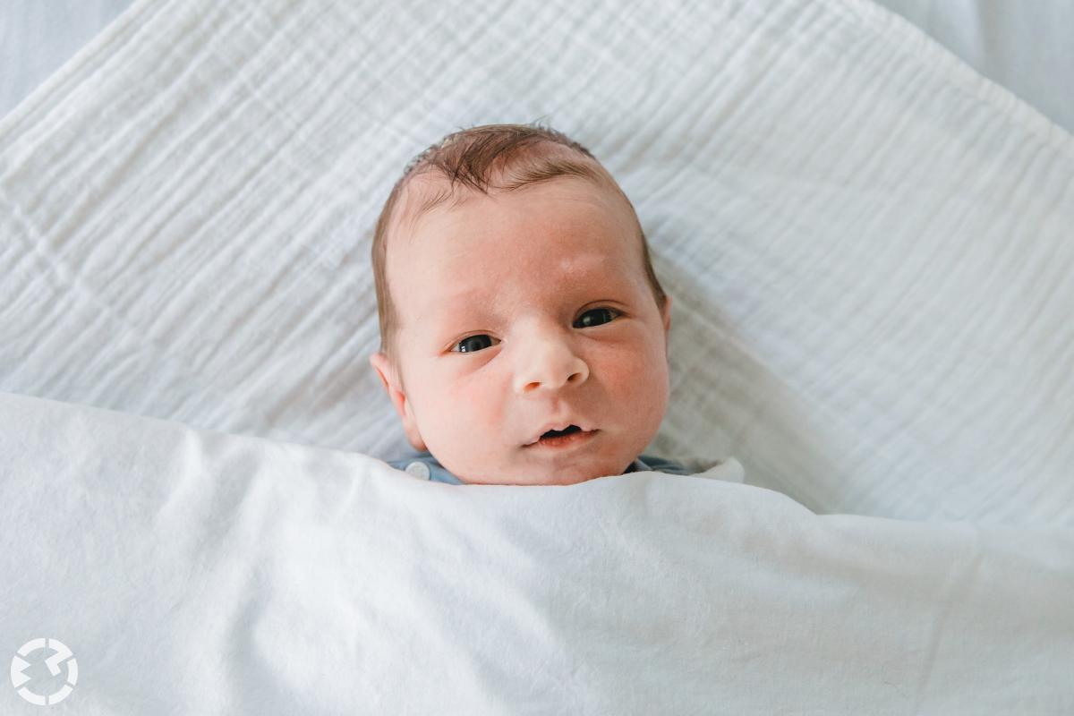Newborn shoot thuis in Baarle-Nassau