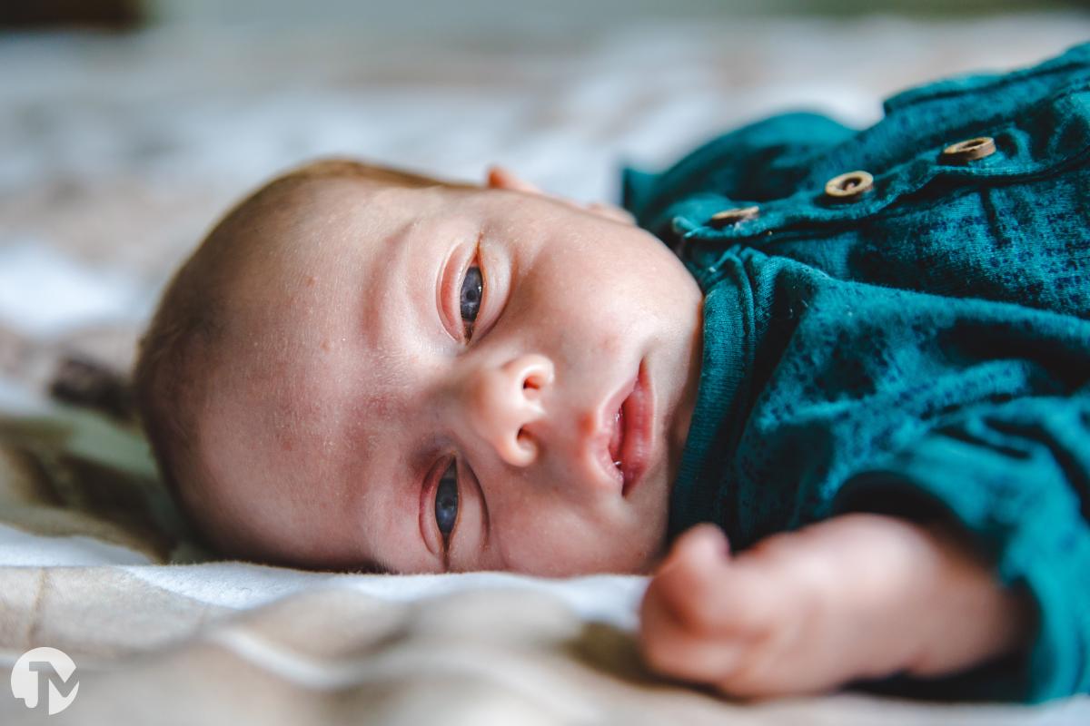 Newborn shoot in Etten-leur