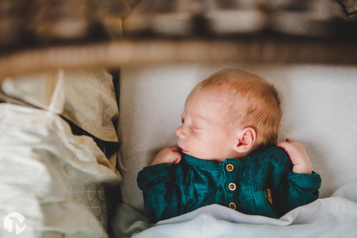 Newborn shoot in Etten-leur