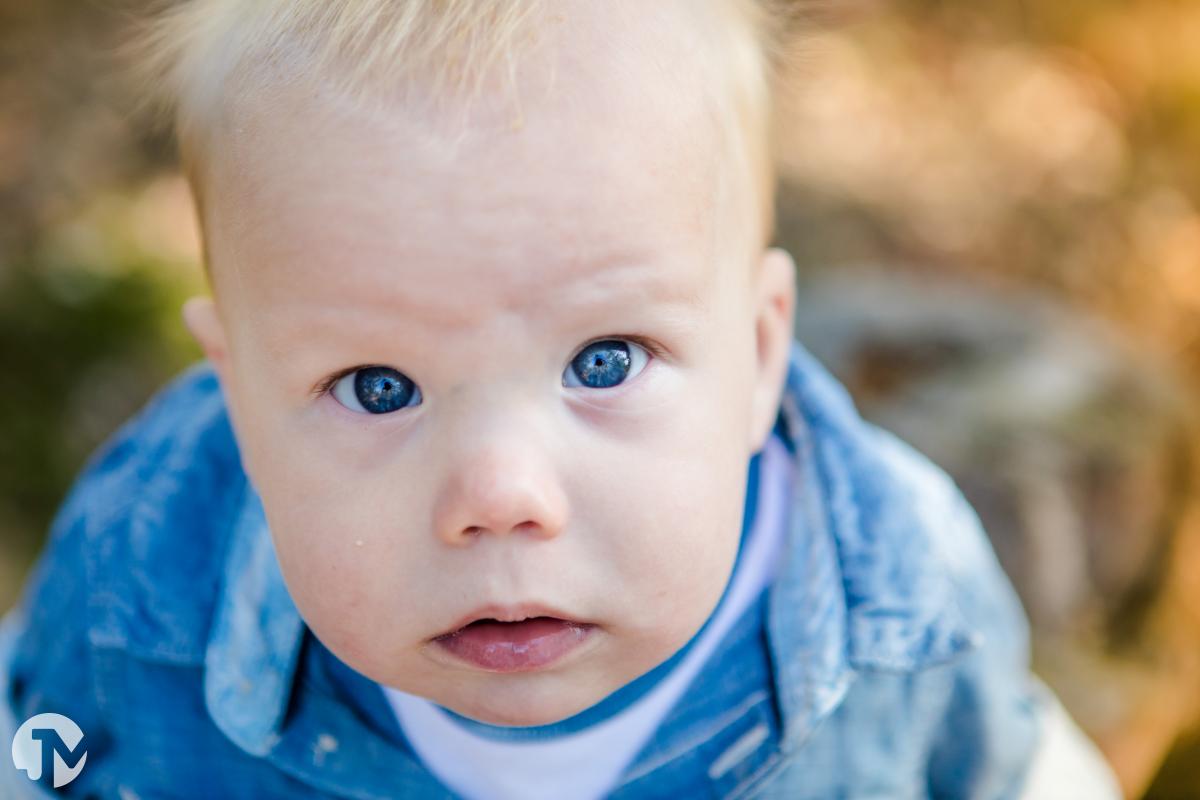 Spontane familieshoot in de natuur