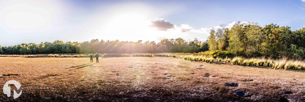 Loveshoot bij avondlicht | Brabant
