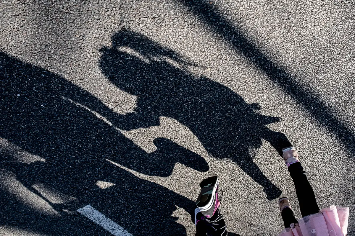 Schaduw van kind en moeder op asfalt.