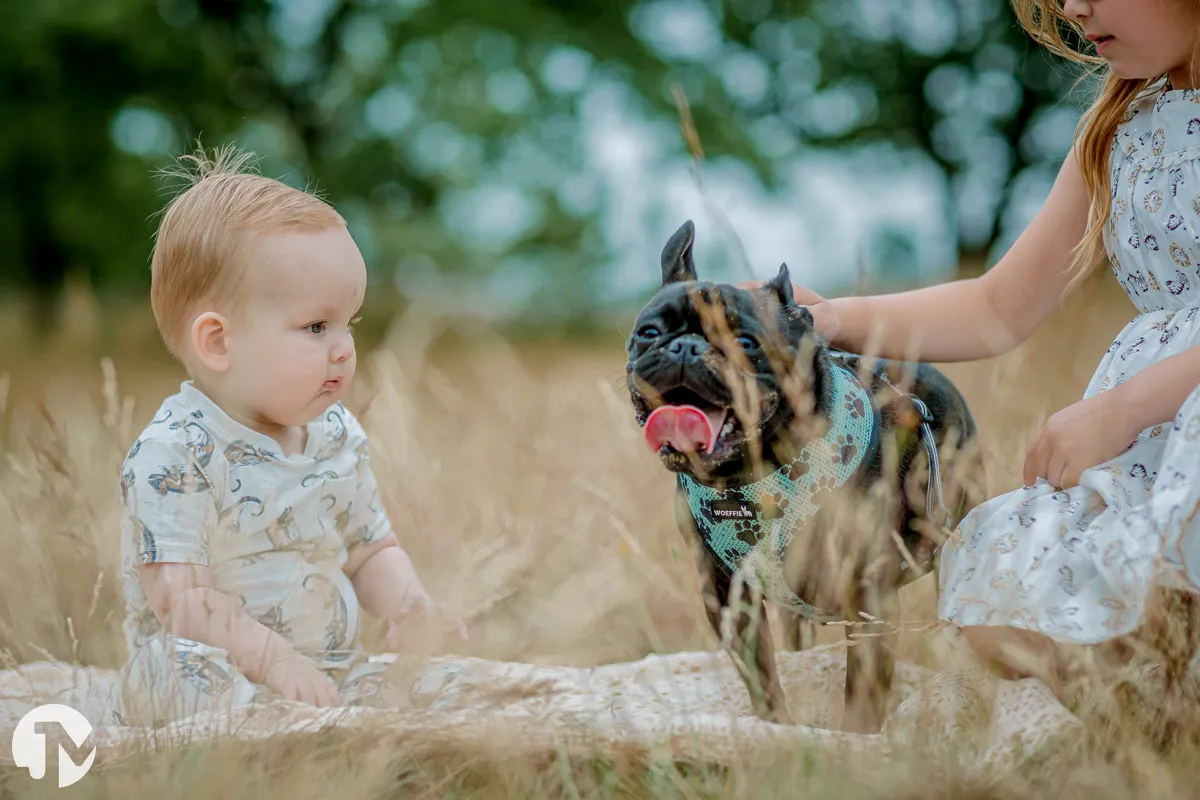 Familie fotoshoot Brabant | Drunense Duinen