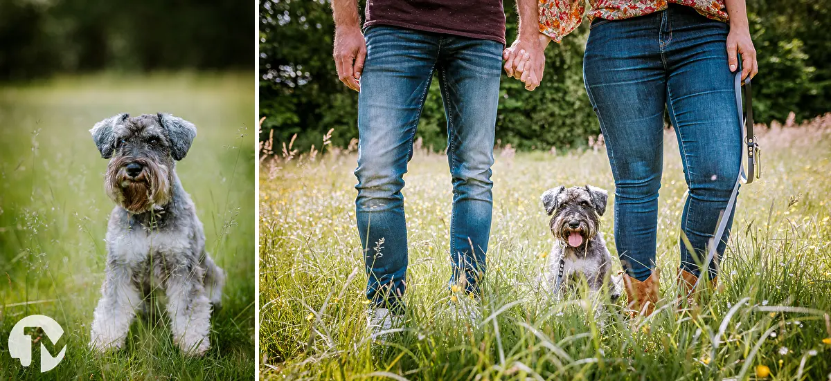 Fotoshoot met huisdier