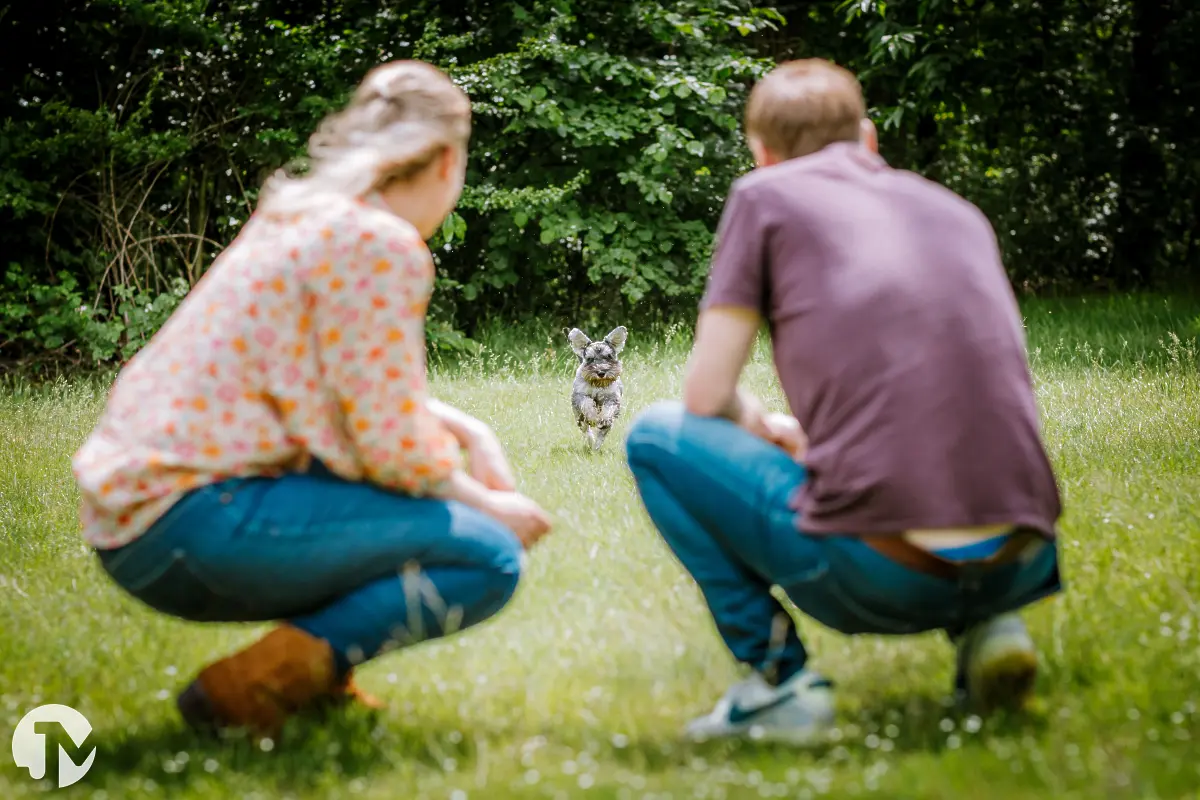 Fotoshoot met huisdier