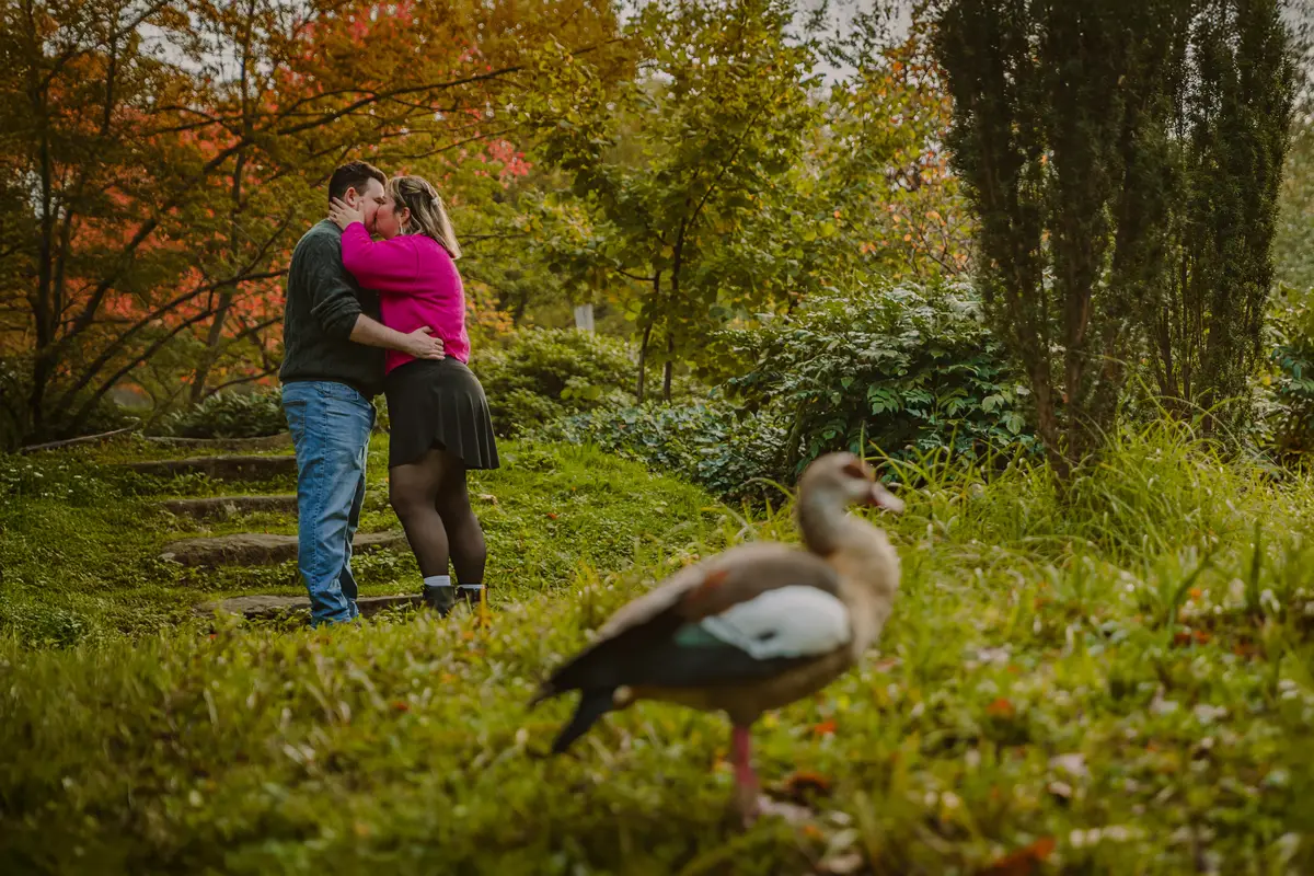 Huwelijksaanzoek tijdens loveshoot gefotografeerd door fotograaf in de Efteling.