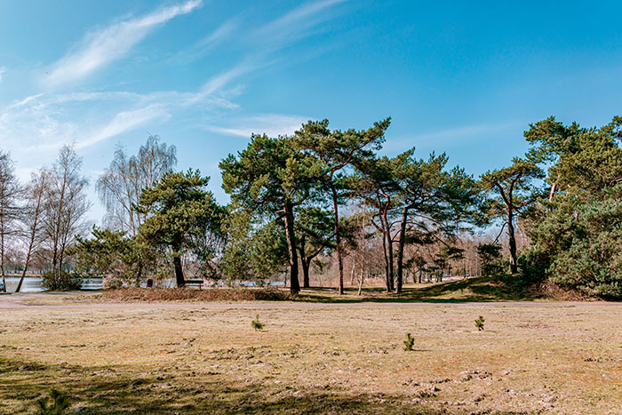 Natuur vakantiepark voor een fotoshoot