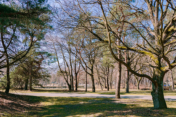 Vakantiepark Beekse Bergen