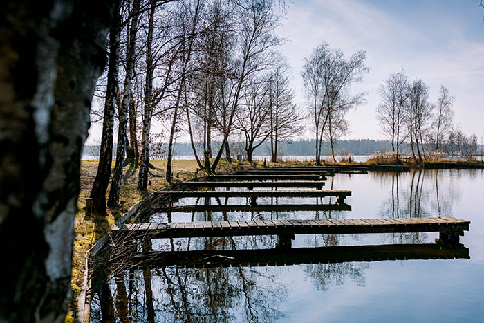 Plek voor een fotoshoot op vakantiepark Beekse Bergen