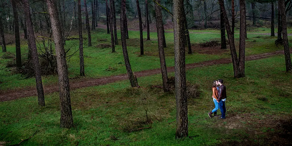 Romantische loveshoot van een stel dat elkaar omarmt in een groen dennenbos, met zacht natuurlijk licht en sfeervolle portretfotografie